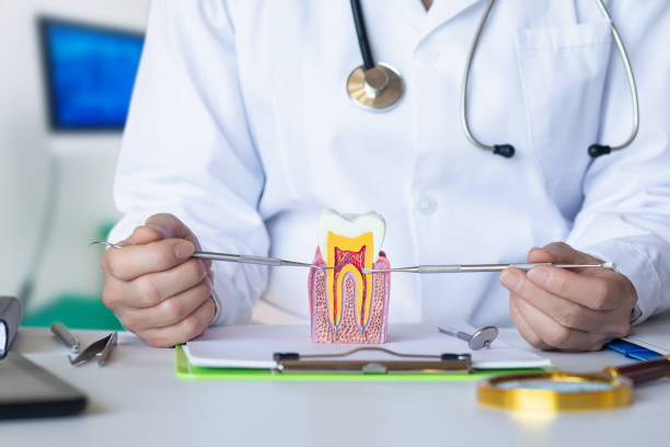Best Emergency Treatment for Toothache in Half Moon, NC